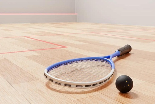 Raquette et balle sur le court